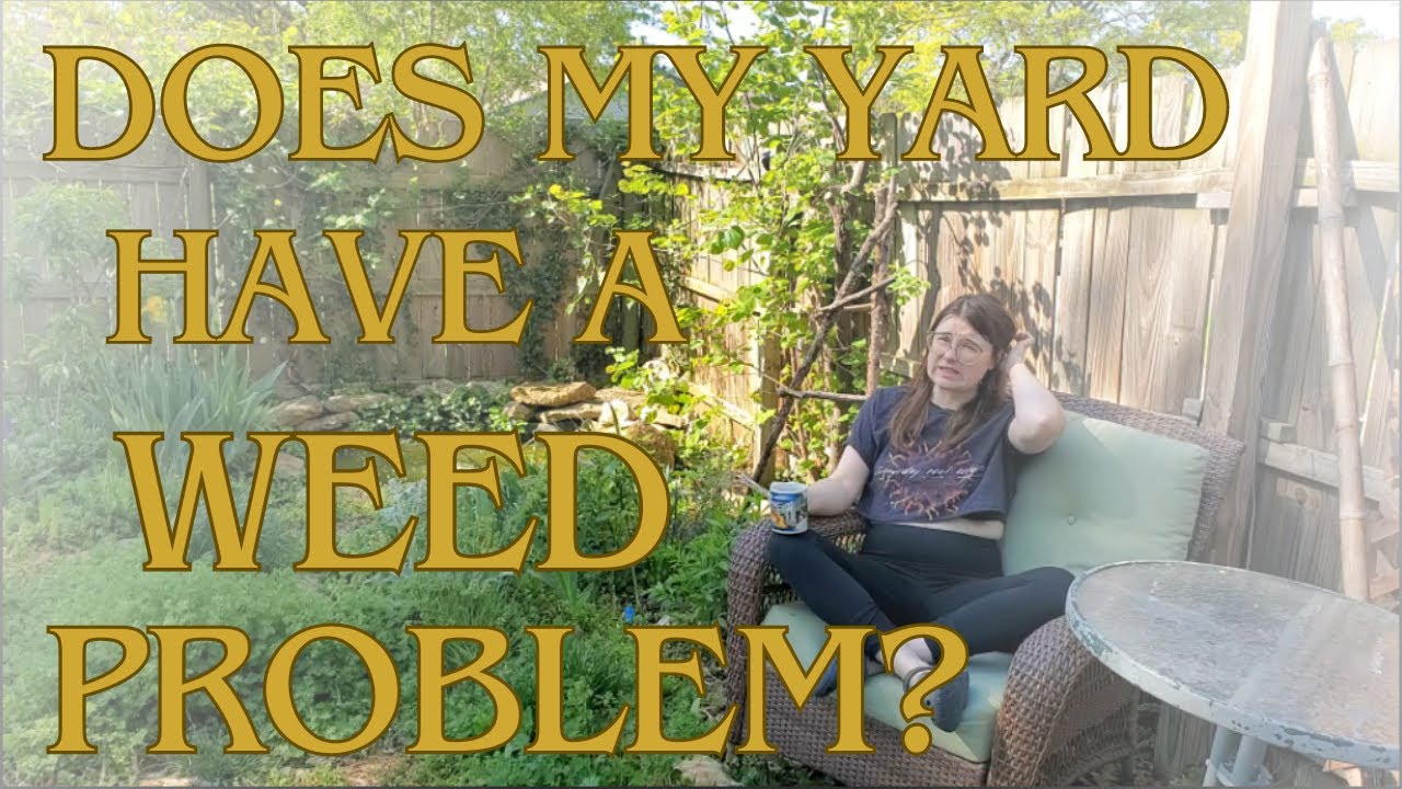 My Grass Yard Ditched Me. Here's What I Have Now.