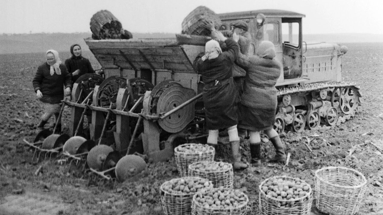 Опыт внедрения НОТ на посадке картофеля, 197х
