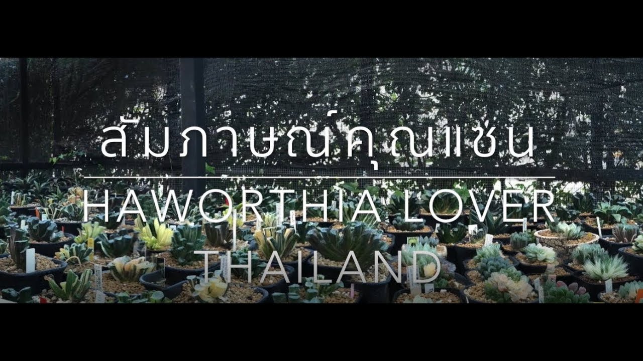 ทริปแอนด์ทริคกับเอ๊ด Ep1 คุณแซน Haworthia Lover Thailand [ฮาโวเทีย]