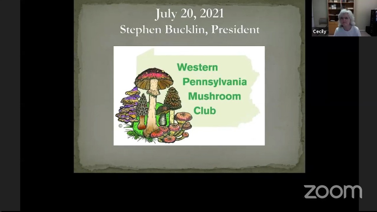 Flammulina velutipes Research – Thomas Roehl – WPMC Monthly Meeting – Jul 2021
