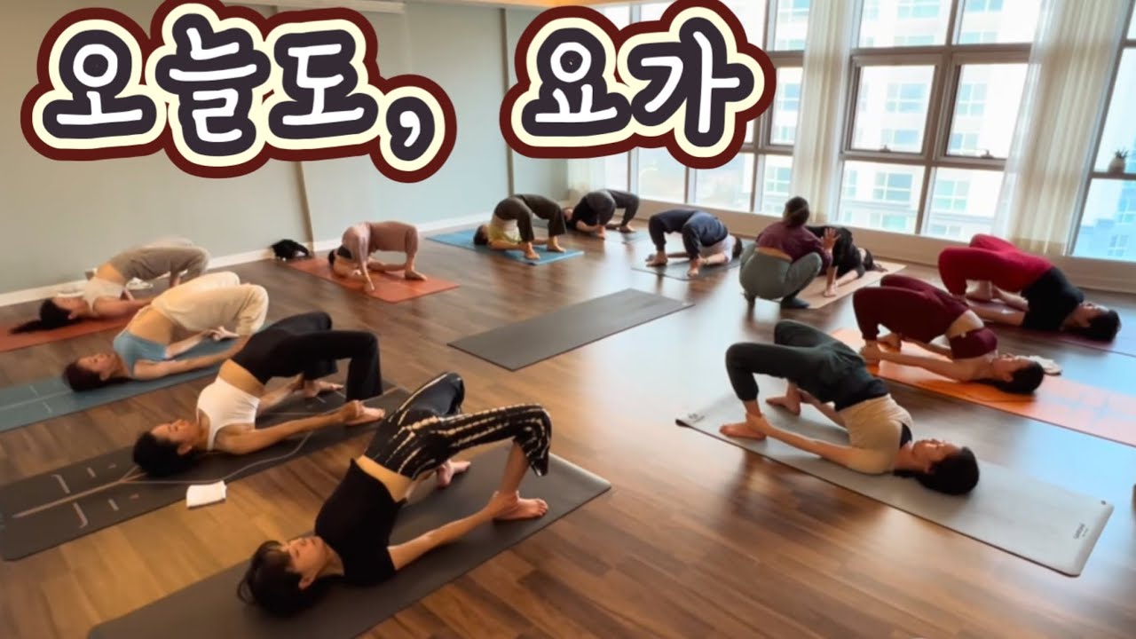 [엔젤요가] 기후전비도휴의 흐름에 맞춰, 오늘도 요가