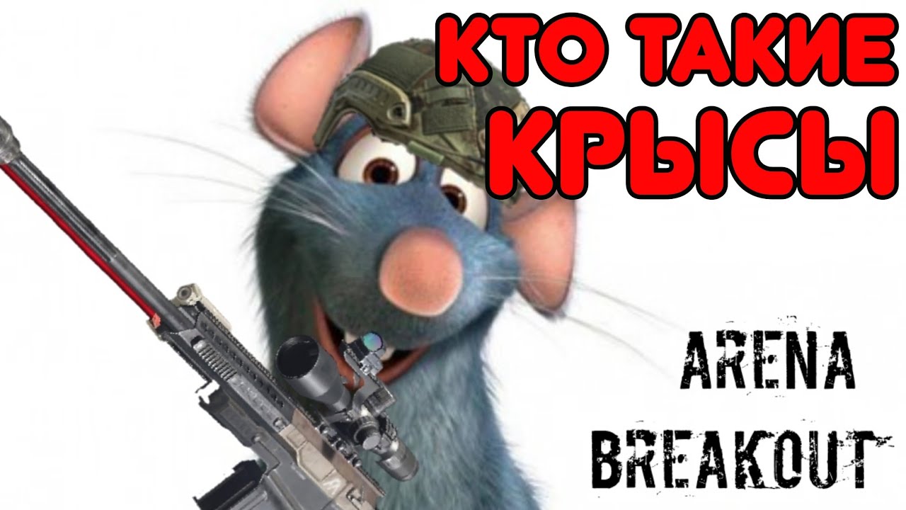 Кто такие крысы? Arena Breakout