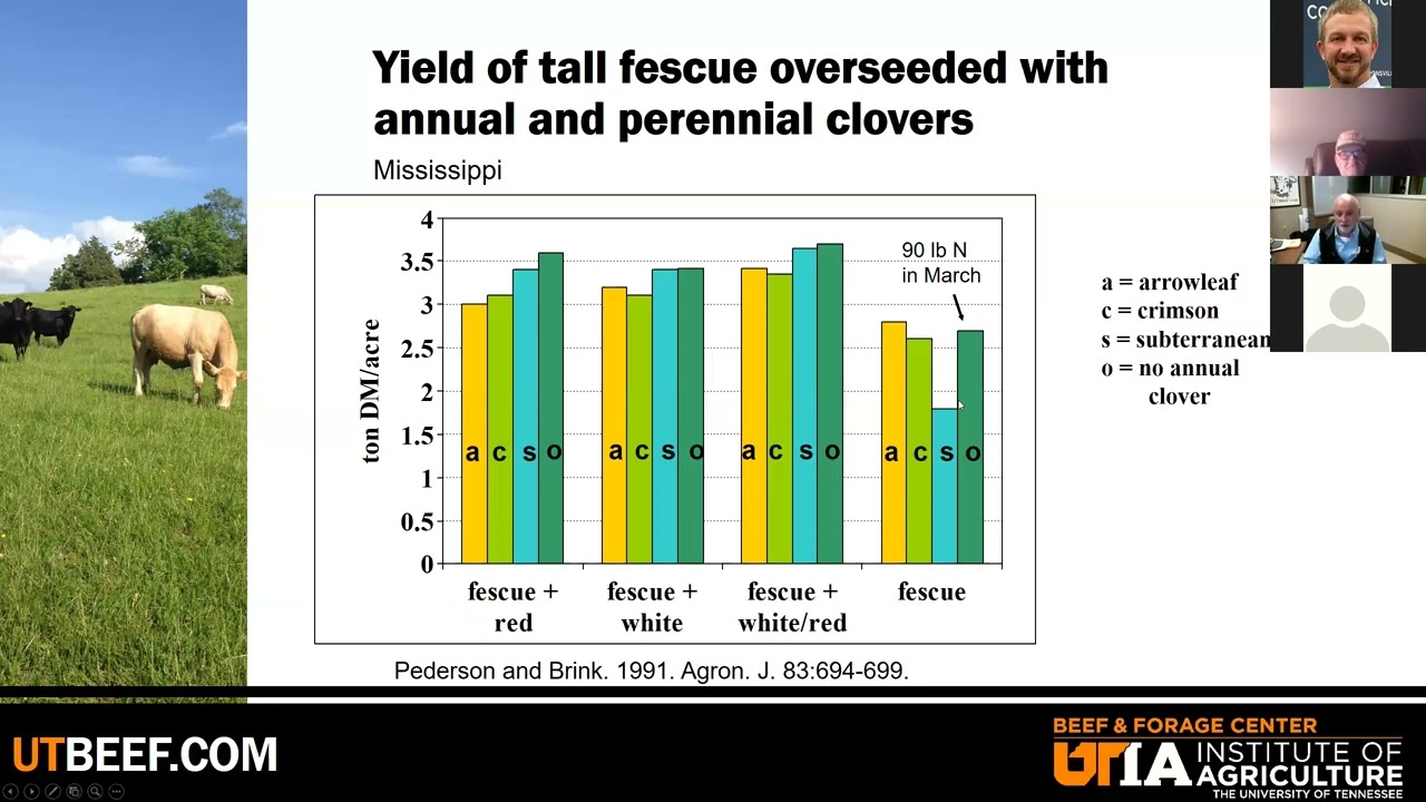 Role of Legumes in Forage Production