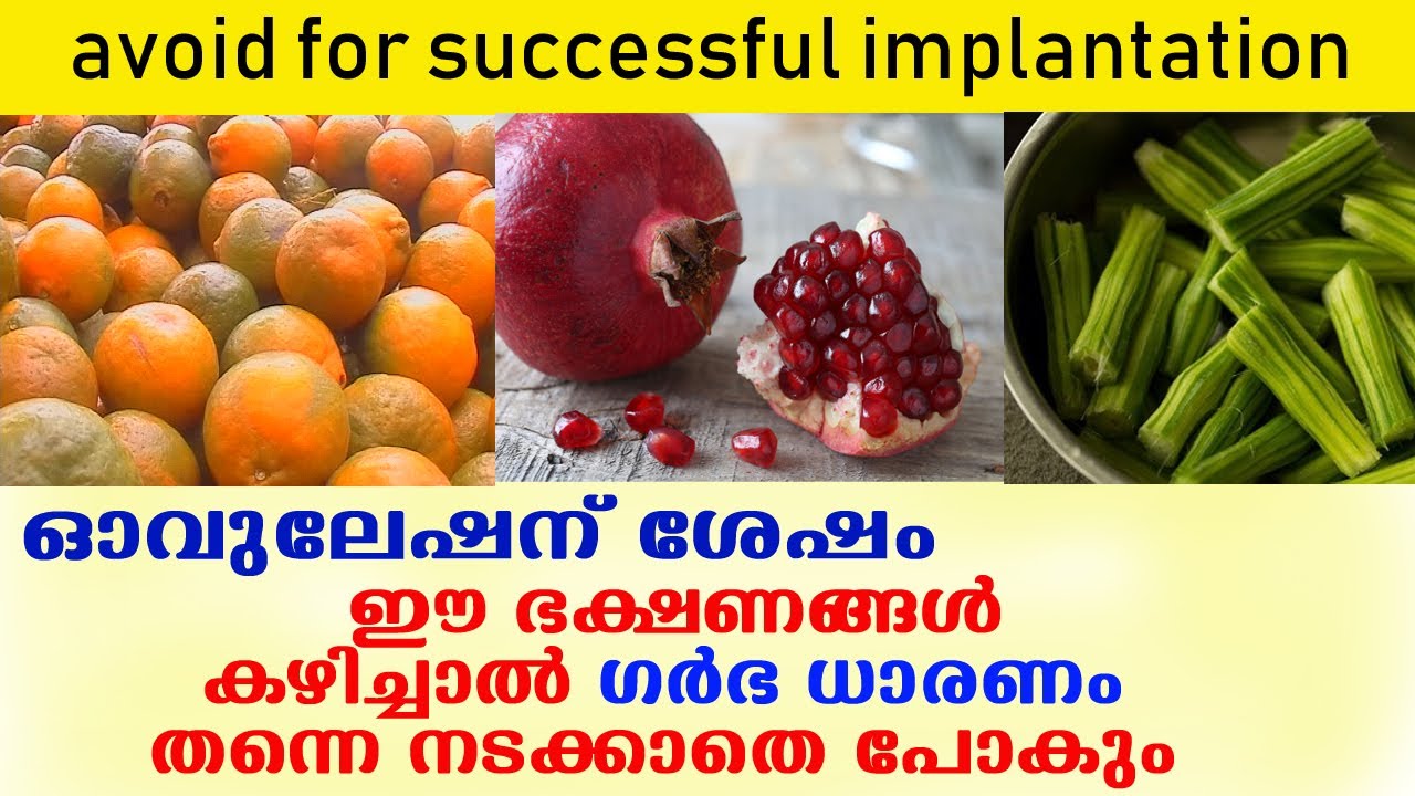 ഗര്‍ഭം പ്രതീക്ഷിക്കുന്നവര്‍ ഇതൊന്നും ചെയ്യല്ലേ ..? | avoid for successful implantation