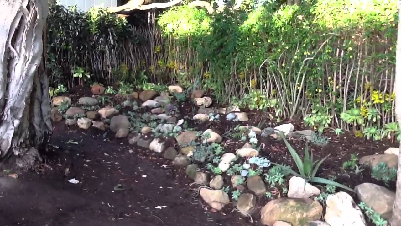 Corner Rock Garden, Stage VIII, in Grace's Garden