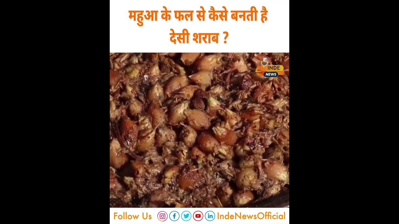 आखिर कैसे बनती है महुआ शराब ? तरीका जानकर हैरान रह जाएगें ! INDE News