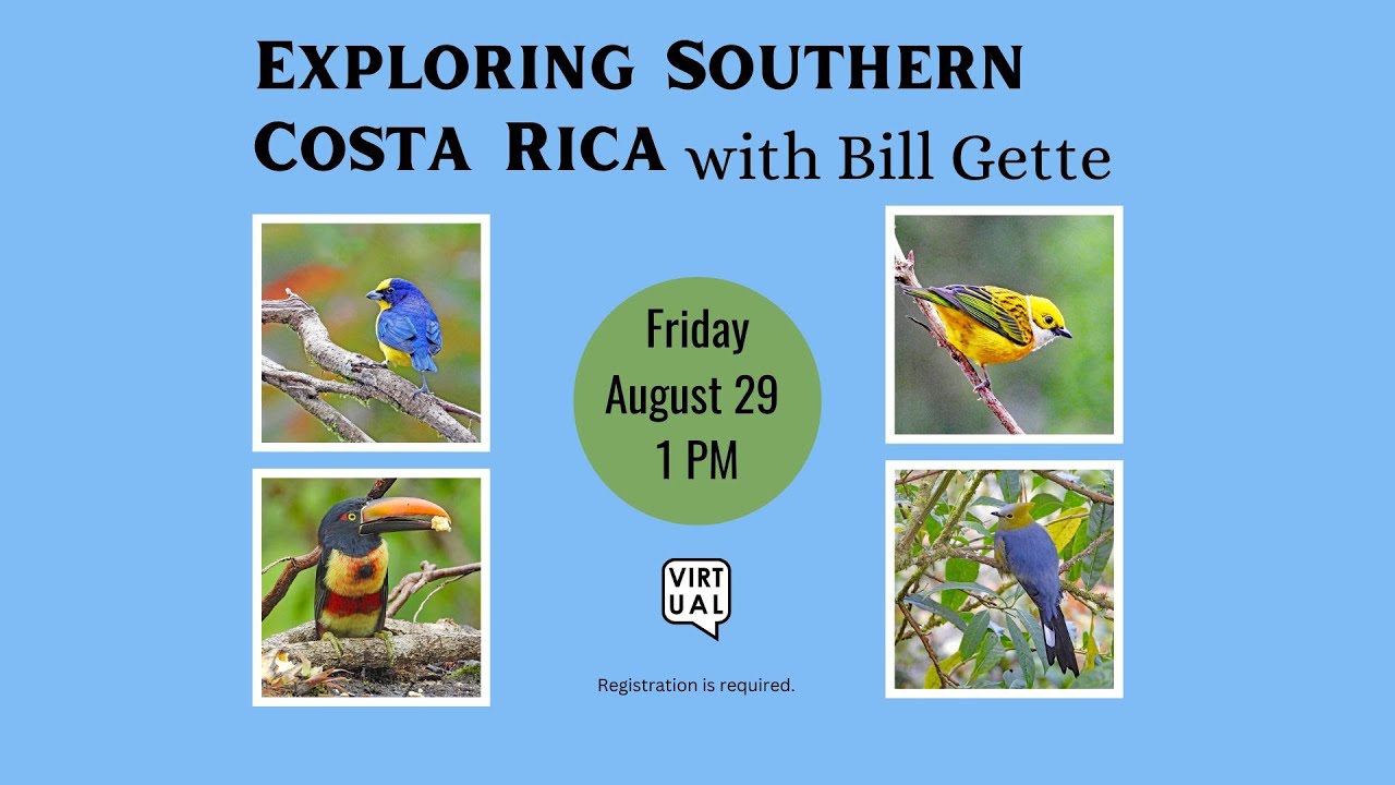 Exploring Southern Costa Rica with Bill Gette