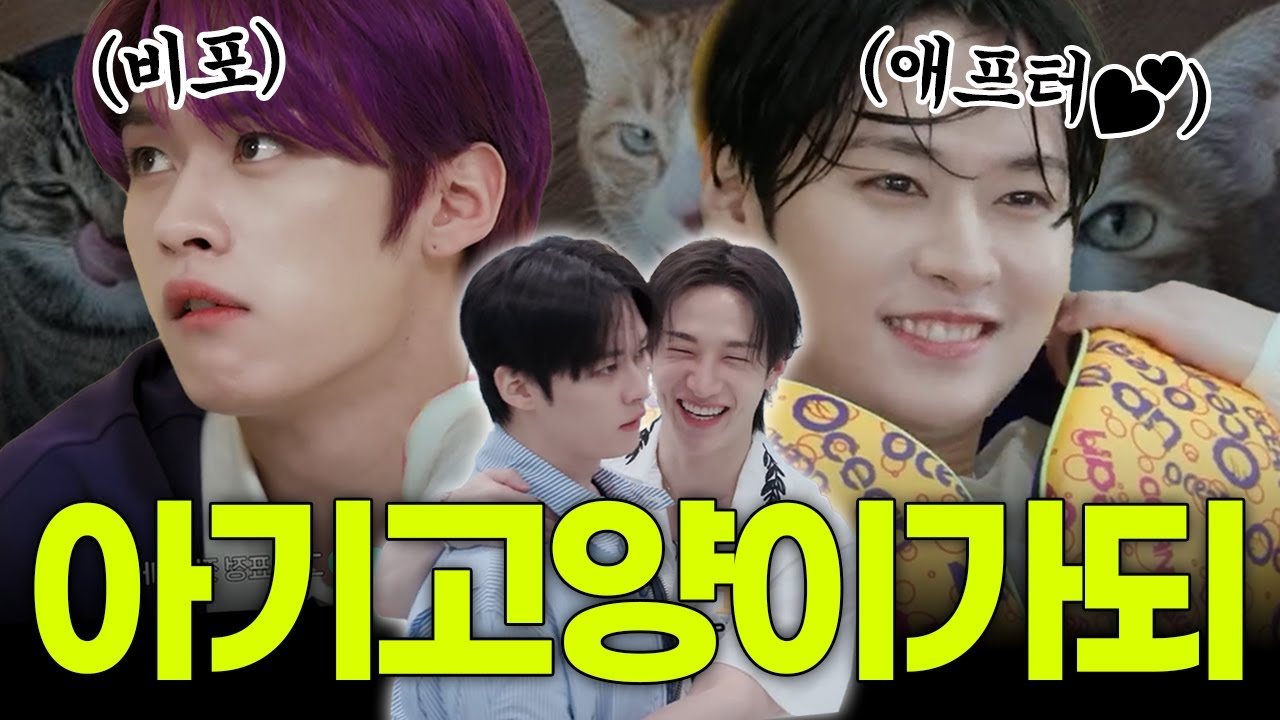 천하의 이리노도 찬이형 앞에서는 쟈근 고양이일 뿐... 스키즈 맏형즈 방찬 리노!