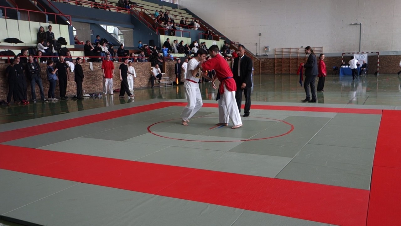 Tui shou : French National tournament 2017