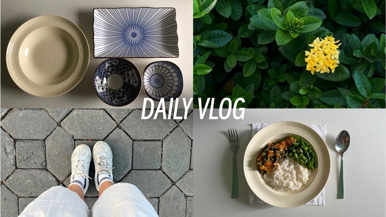 ordinary solo vlog | tableware and grocery shopping | home cooking