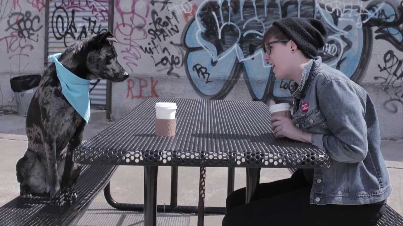OFFICIAL VIDEO (2013): 