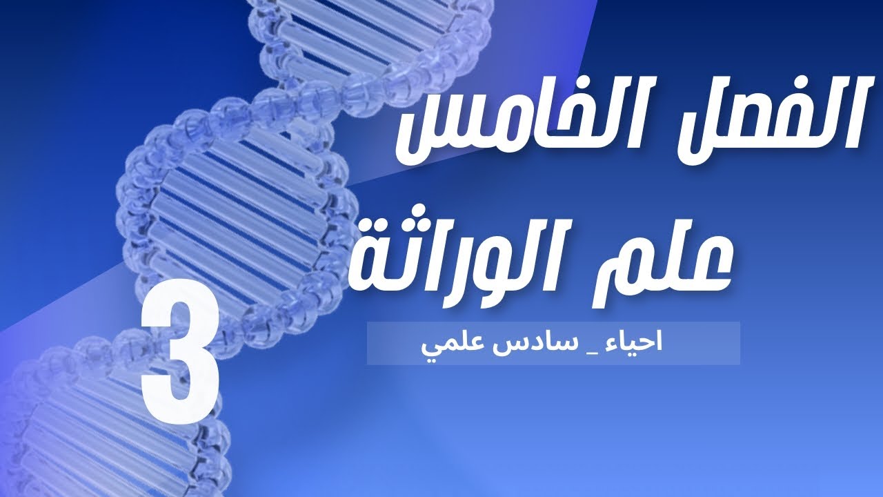 المحاضرة (3) |  الفصل الخامس 