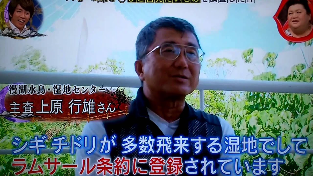 月曜から夜ふかし漫湖公園珍小島