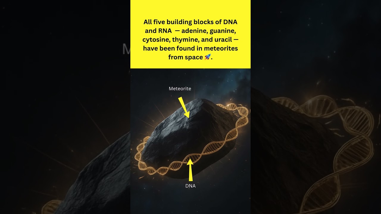 All DNA & RNA Bases Discovered in Meteorites!
