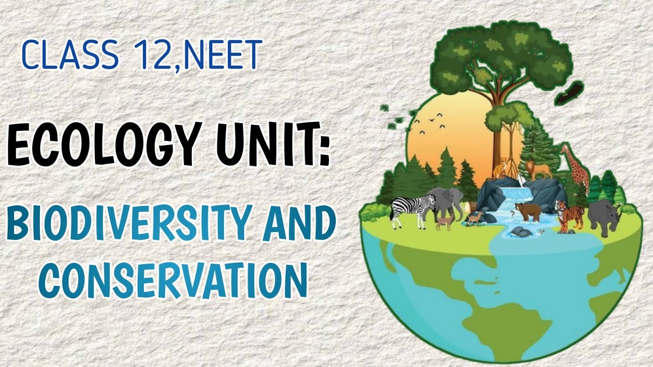 Biodiversity And Conservation |Lecture 3 |Class 12th |NEET 