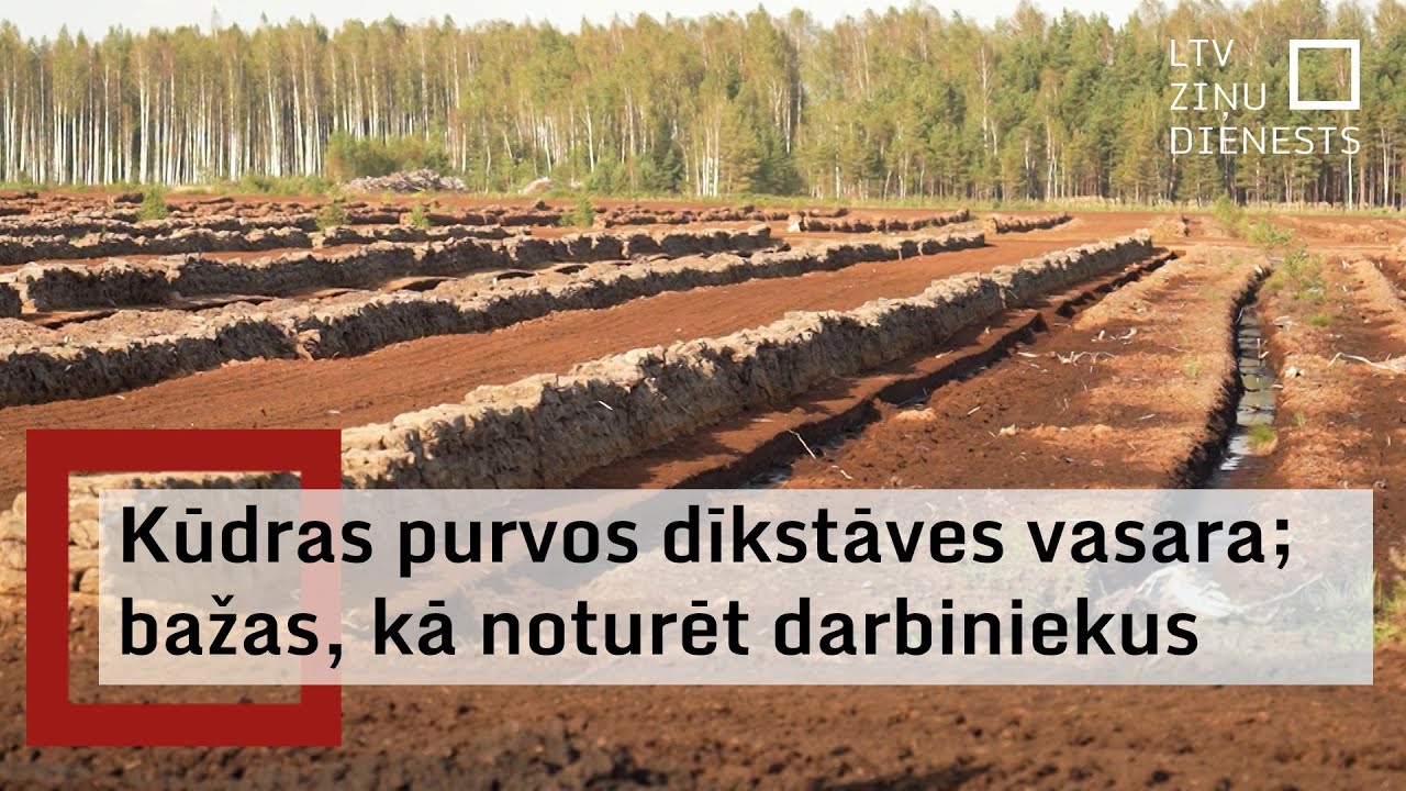 Biežo lietavu dēļ šovasar kūdras purvos – dīkstāve