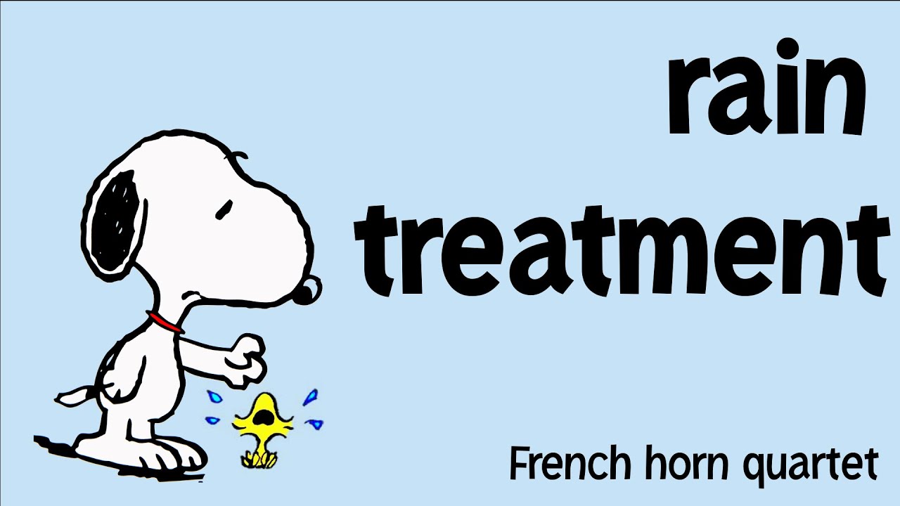 New French Horn Quartet - Rain Treatment