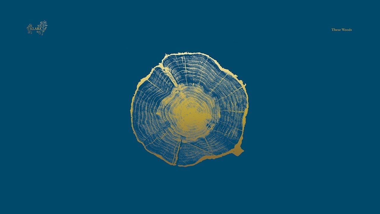 These Woods - Volvo TV Ad Soundtrack