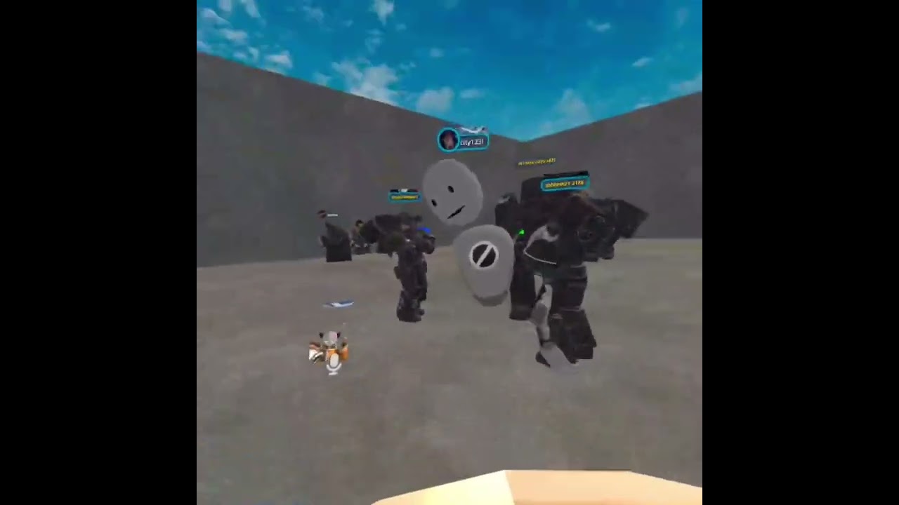 Old video of me fighting the ferric Bulls From 2024