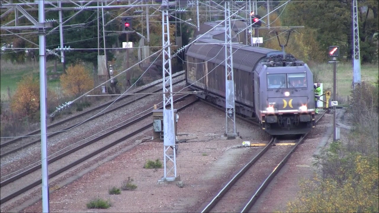 Colli Care Logistics, train
