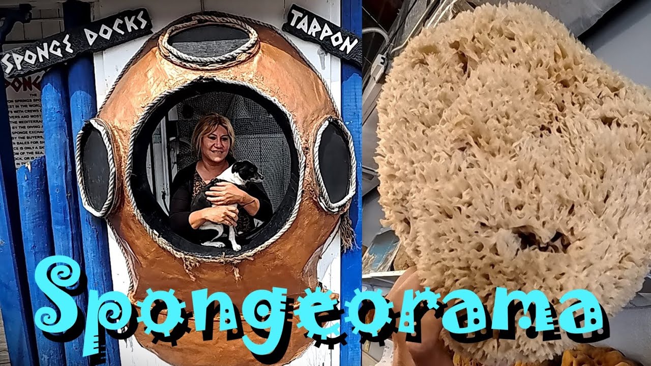 Fun Florida Beach Town To Visit - Tarpon Springs - Sponge Docks & Greektown | Nomad RV Living