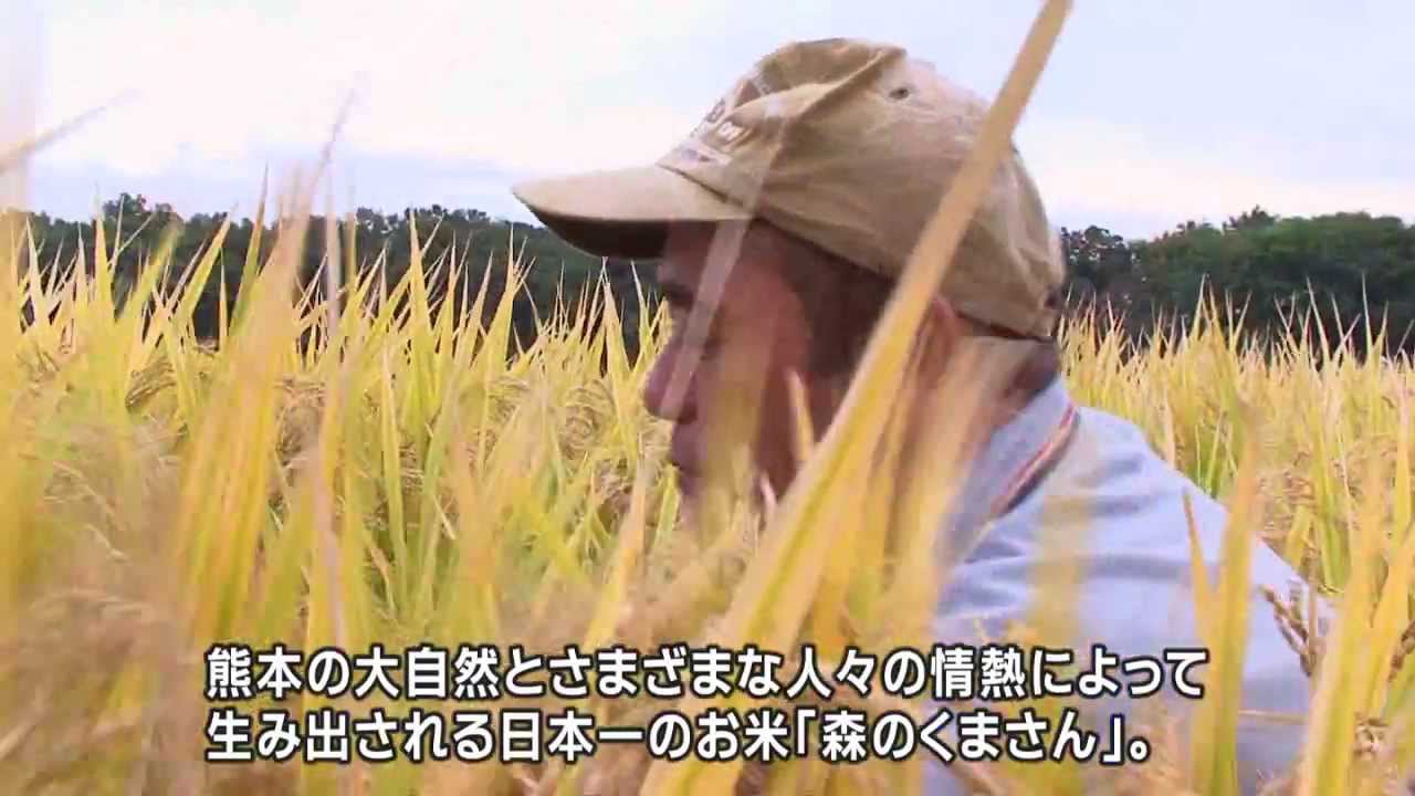 熊本のお米が日本一　～『森のくまさん』が生まれるまで～　Kumamoto Rice is Number One in Japan