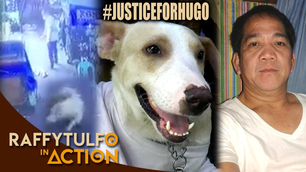 KUMUSTA NA BA ANG VIRAL NA ASONG KINAWAWA NG ISA RAW DOG LOVER?