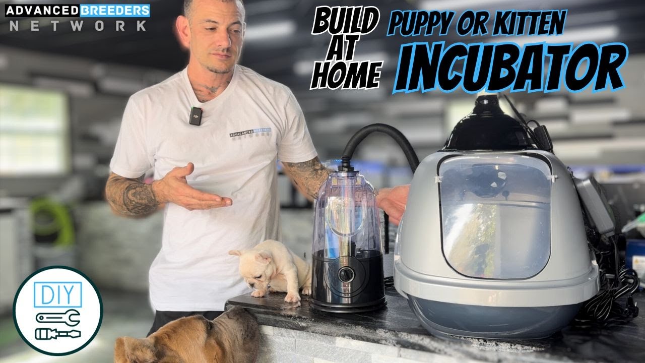 Puppy Incubator : Secret to thriving puppies !