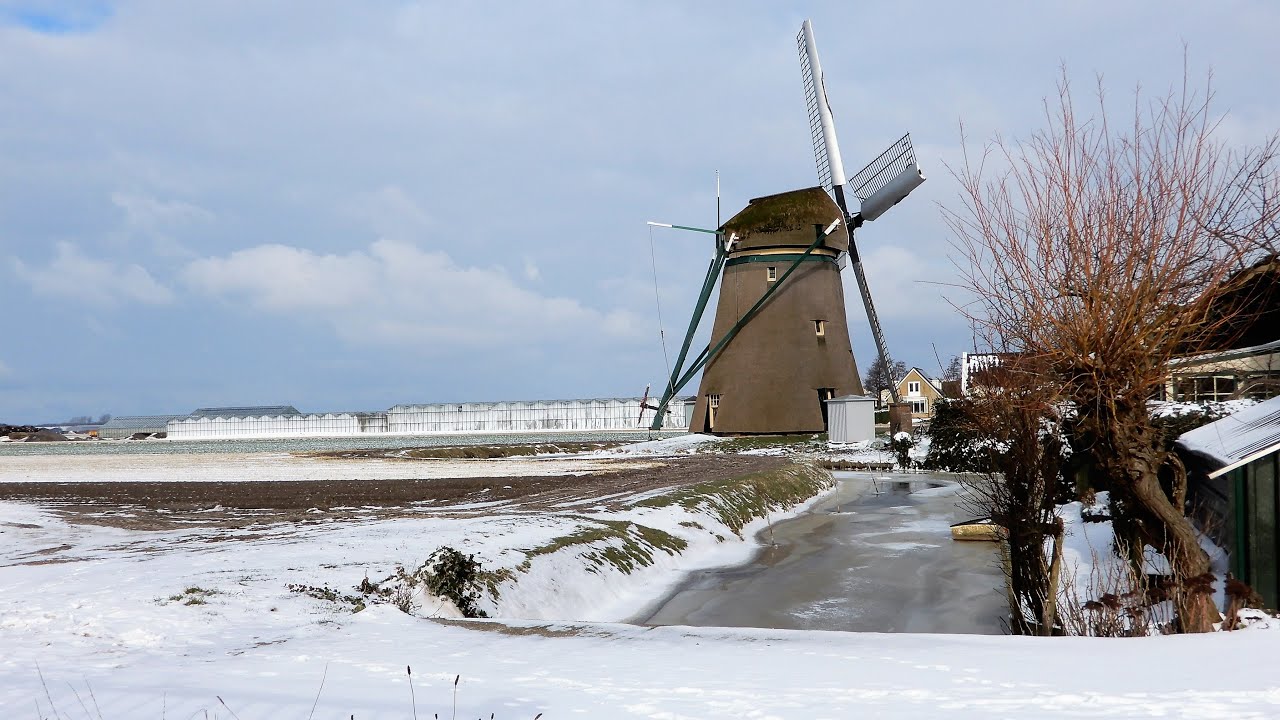 Noordwijkerhout in de winter
