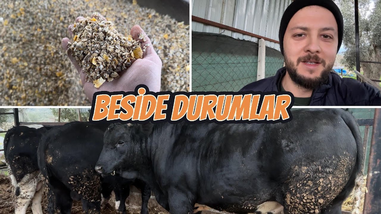 DANALARIMI NASIL BESLİYORUM?