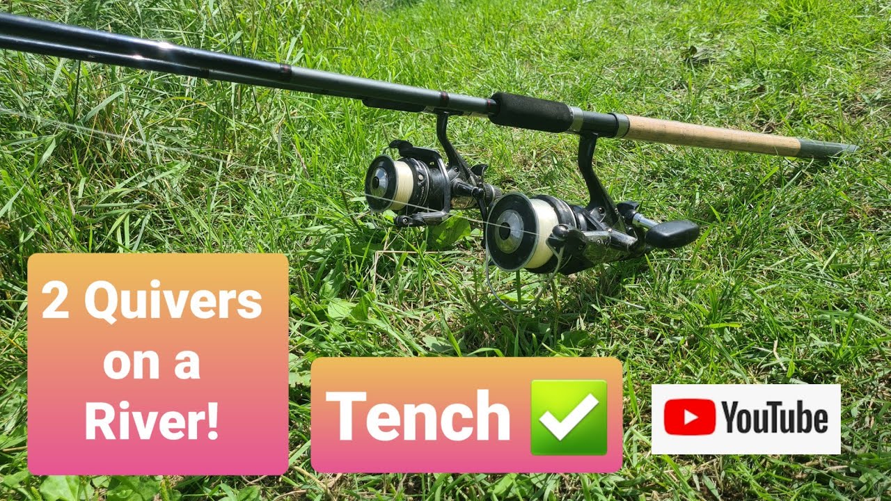 BIG RIVER TENCH!