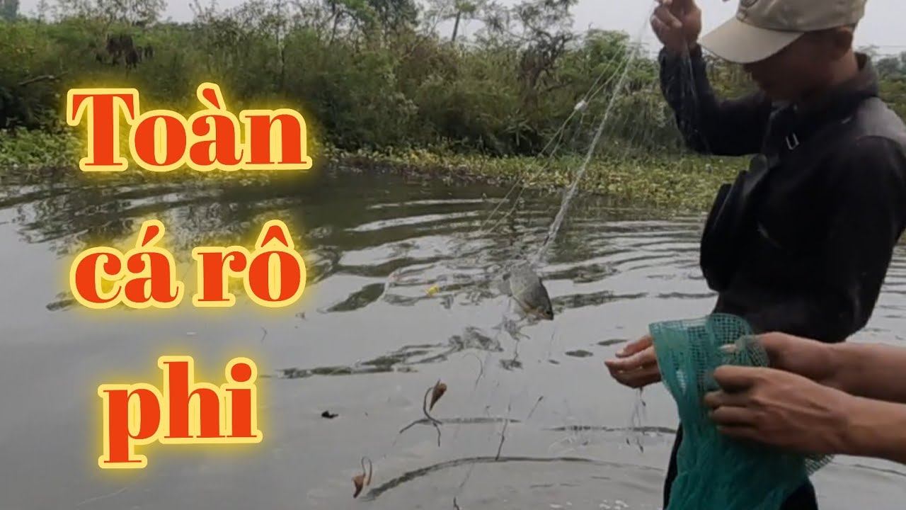 Thành quả giăng lưới  thăm lờ  cá lần hai /Hòa Nguyễn đồ đồng 