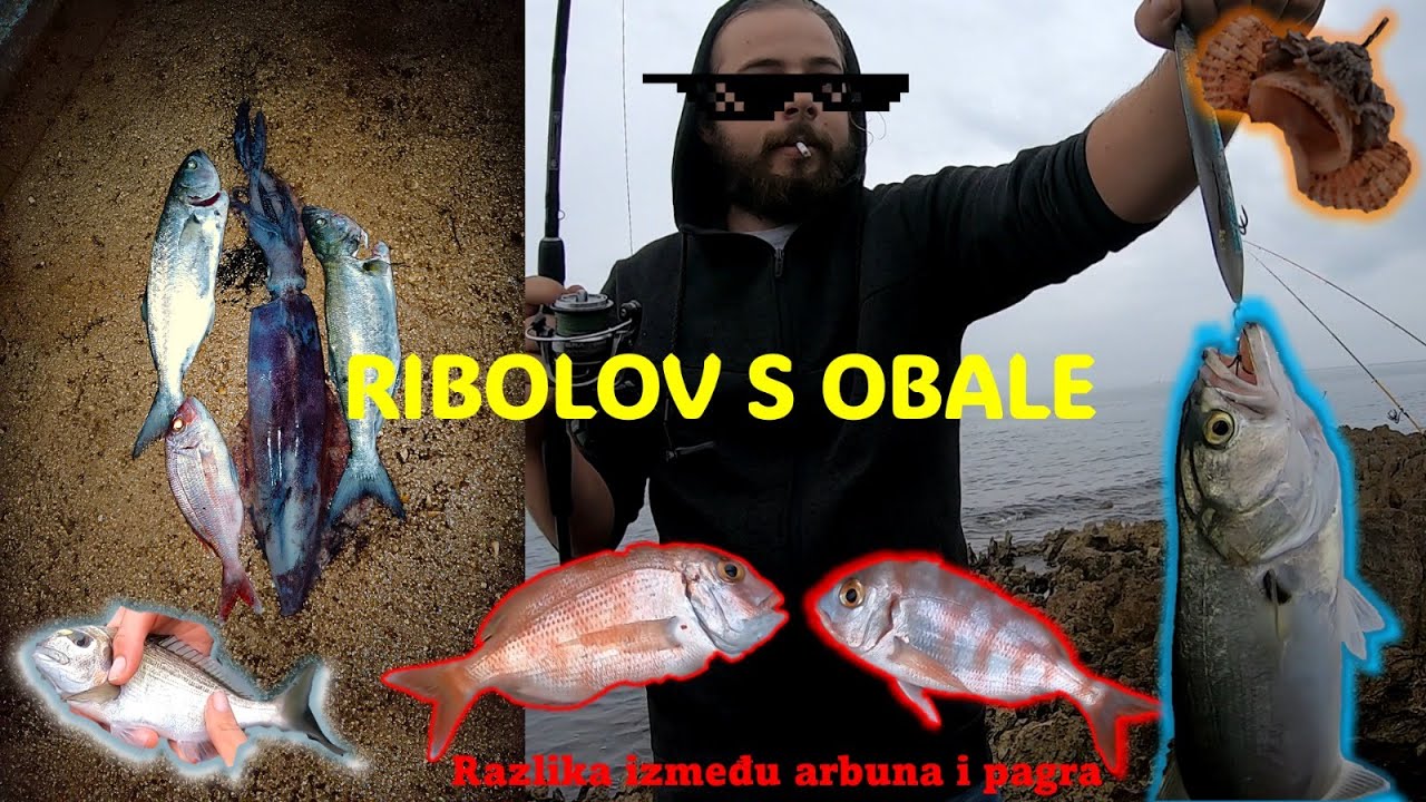 Ribolov s kraja - postava, spin i borba s krakenom