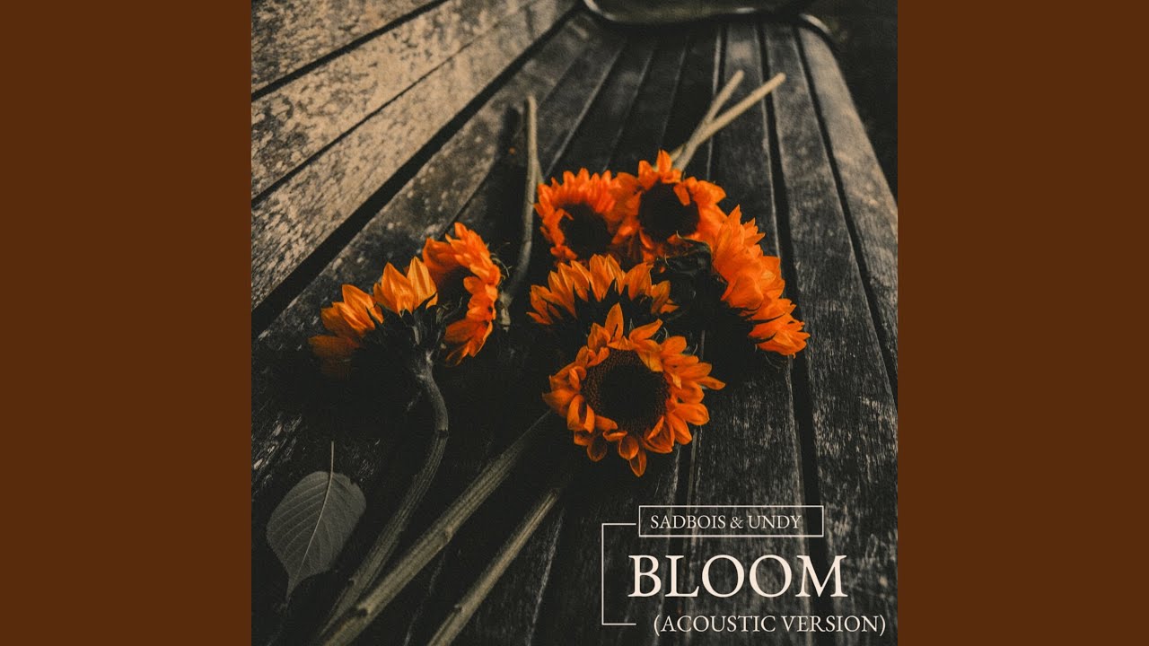 Bloom