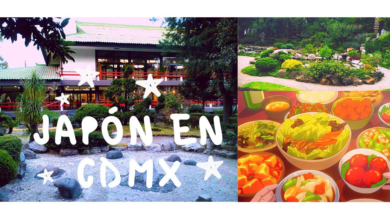 Japón en CDMX ⛩🎌 | Asociación México Japonesa A.C.| 日墨協会 | Arisu ⛩🎌