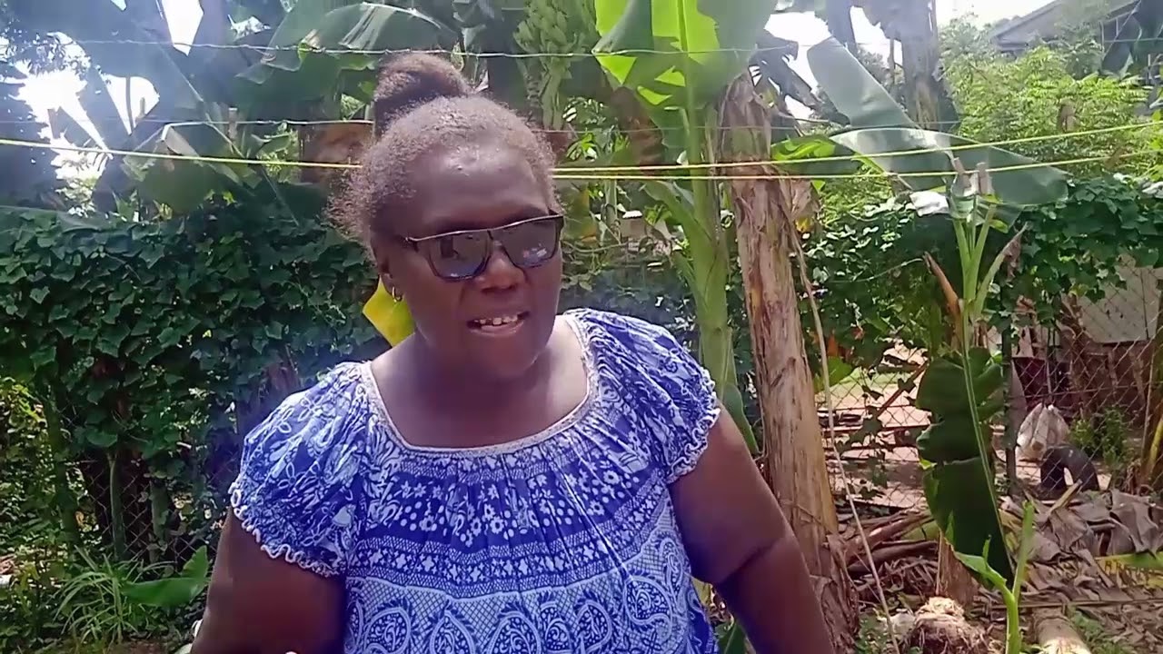 How to make a Papua New Guinea 'Mumu' without digging a hole in the ground