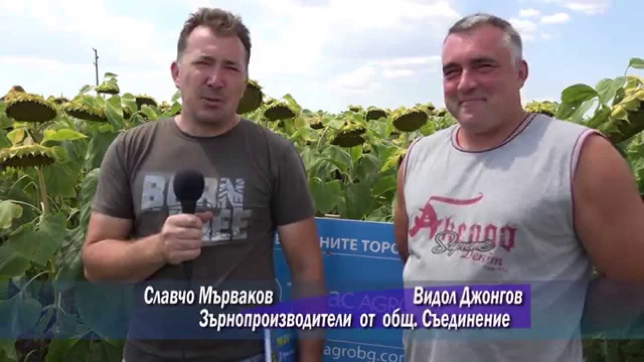 ТИМАК АГРО     - мнения на фермери от общ.Съединение