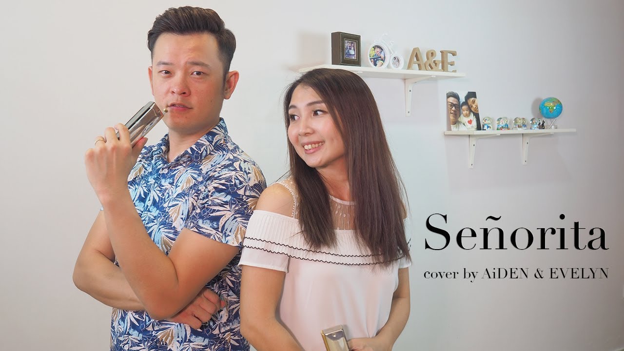 Señorita - Shawn Mendes, Camila Cabello (Aiden & Evelyn harmonica cover)