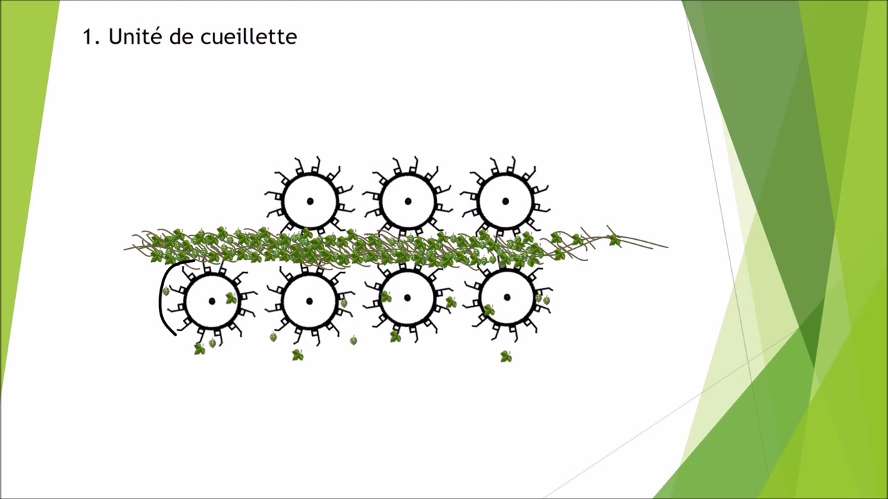 Cueilleuses à houblon - Comprendre leur fonctionnement