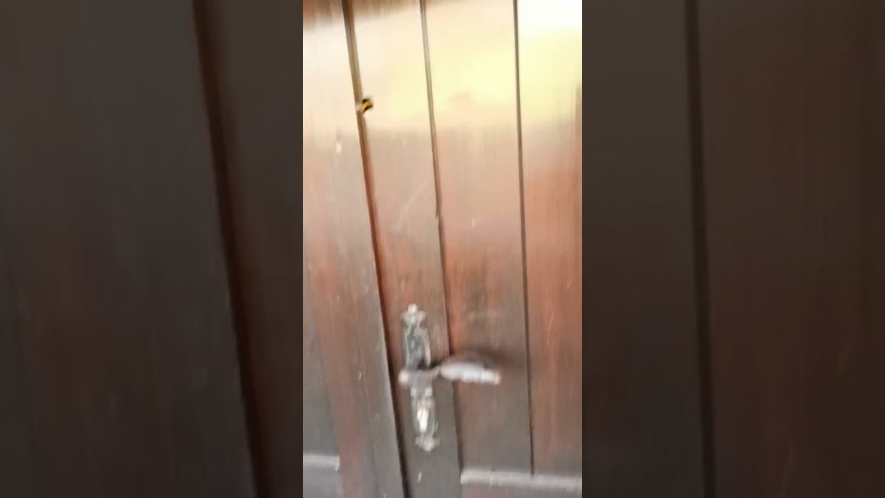 čmrlj hoče v hi&scaron;o trka na vrata #ekolo&scaron;ko #nature