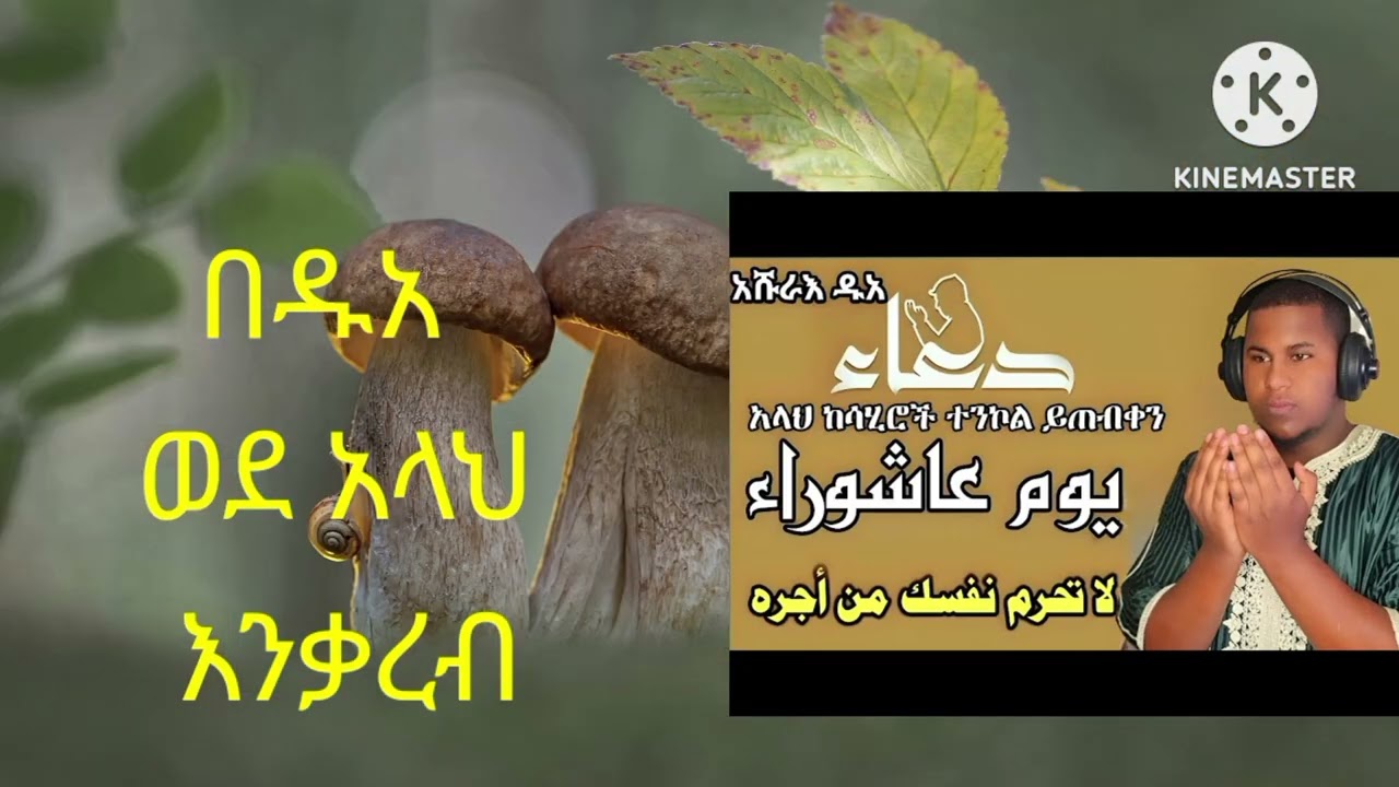 Du'aa  ዱአ