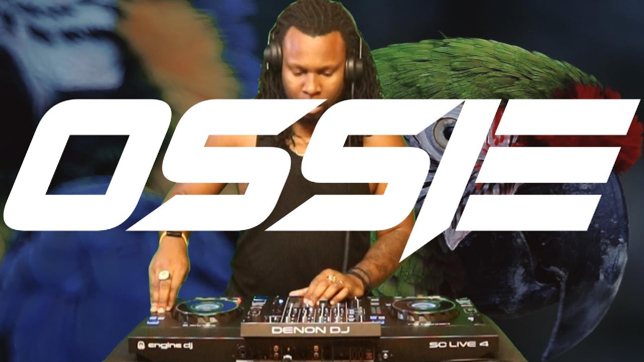 OSSIE | 30-Minute Tribal & Afro House DJ Mix | Nov 24 - SHED SESSIONS NO.1