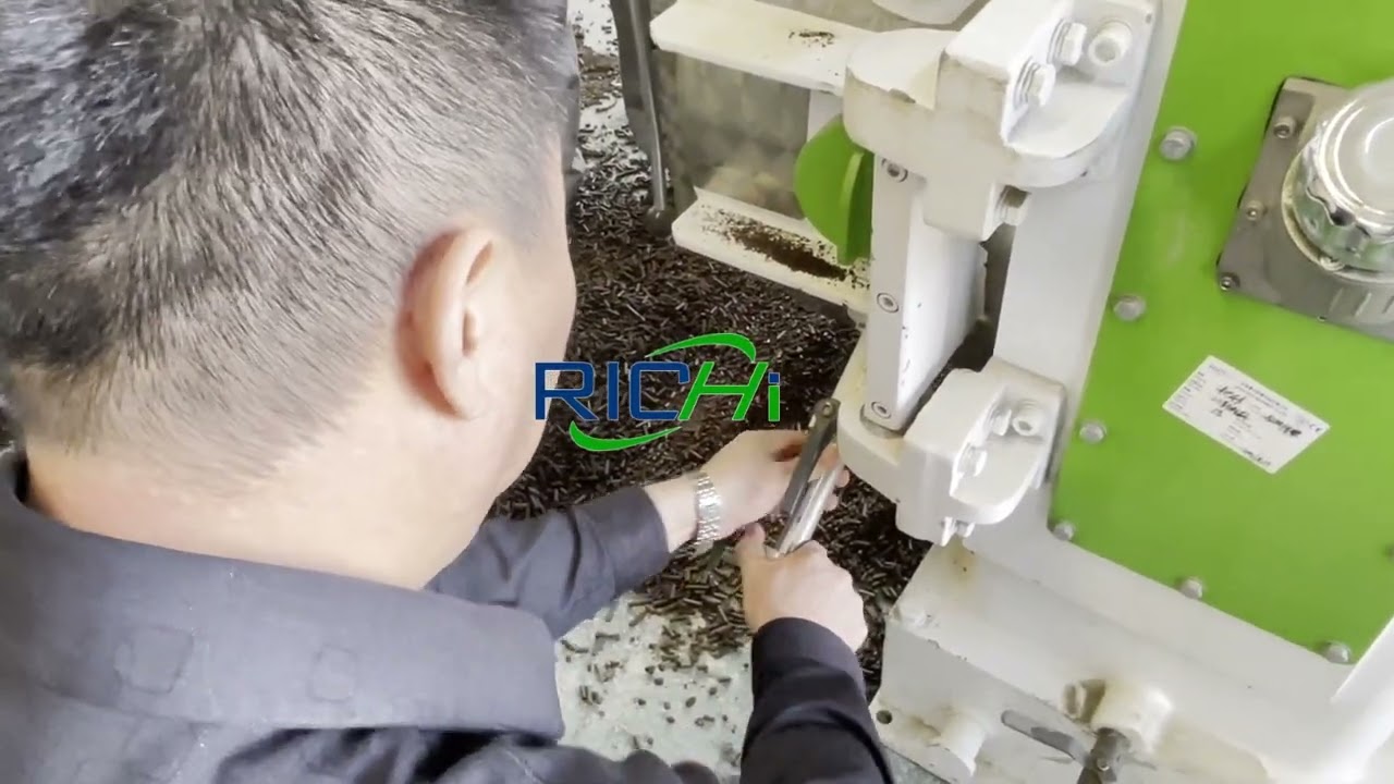 Production Test Of Pig Manure Organic Fertilizer Pellet Machine