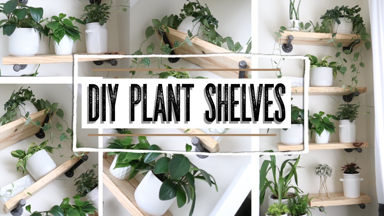 “How To” DIY plant shelves 🌿 || A girl with a garden
