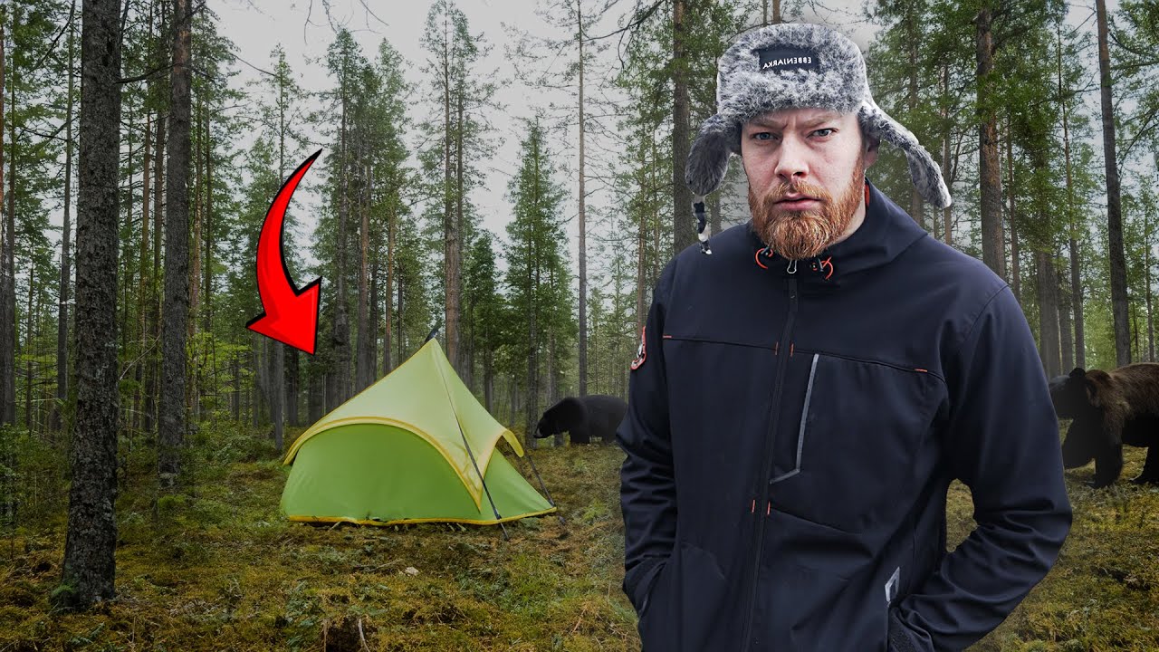 T&Auml;LTAR P&Aring; PLATSEN MED FLEST BJ&Ouml;RNAR I V&Auml;RLDEN!