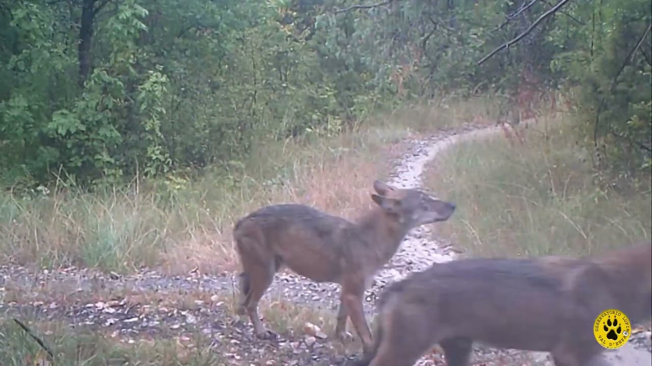 Tracce in Val d'Enza: Momenti d'Autunno