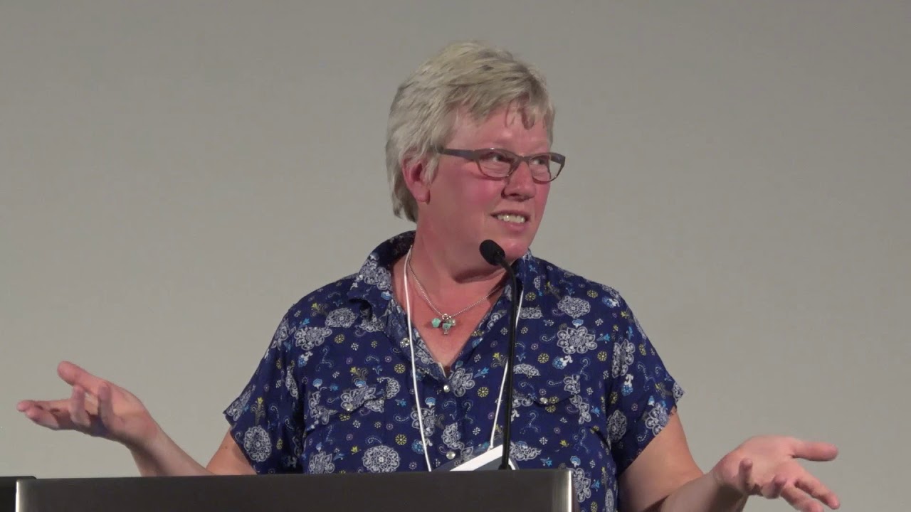 Leslea Hodgson at Single Payer Strategy Conference