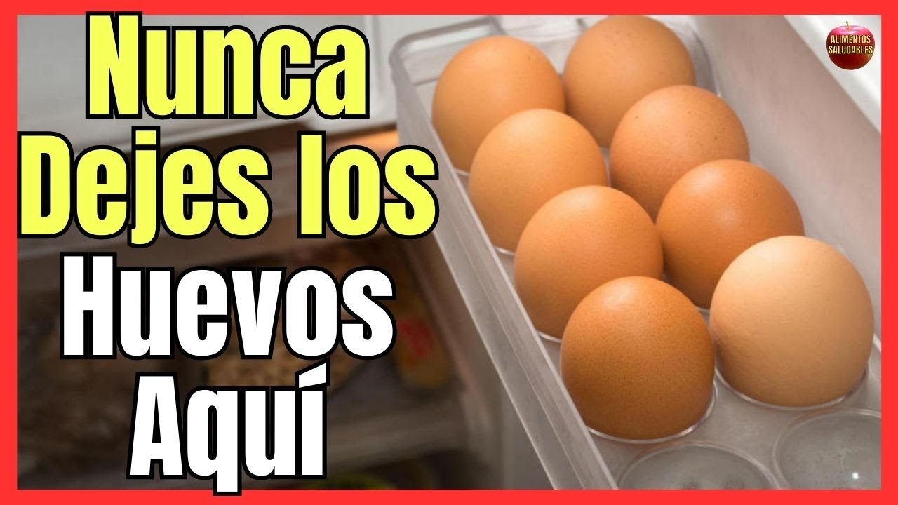 🥚 ¿PORQUE NO DEBES GUARDAR LOS HUEVOS EN LA PUERTA DE LA NEVERA? 🥚