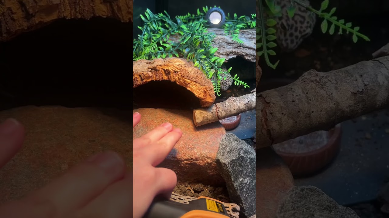 A little about my heat setup for my 