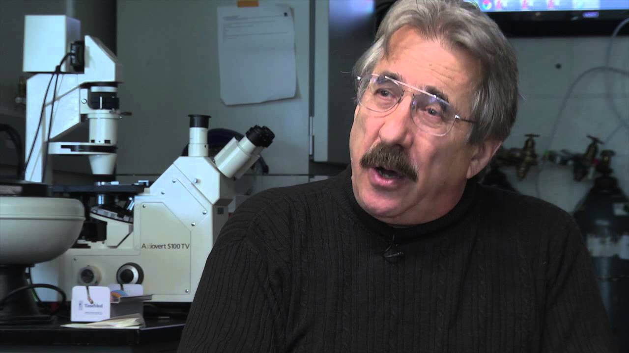 David Soll describes the behavior of mutated PTEN genes